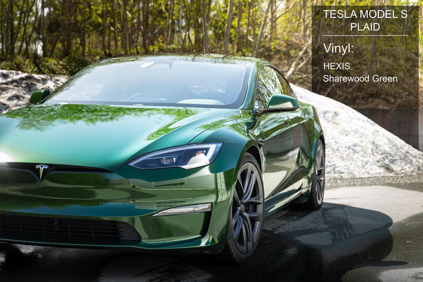 XPEL Certified Installer